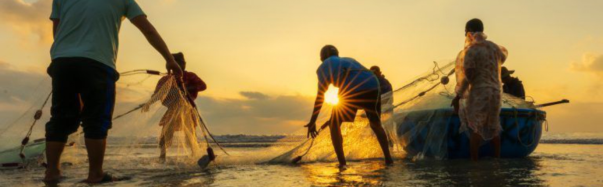 Professional Travel Services in Vietnam