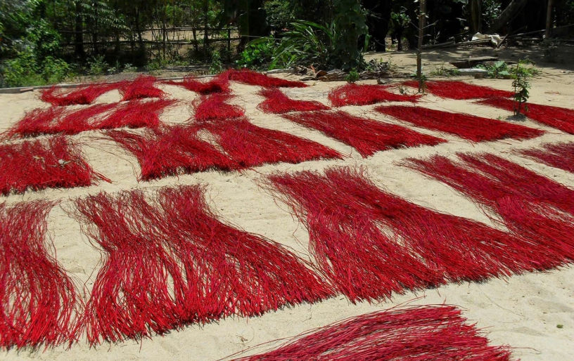 Hoi An Countryside Bike Tour