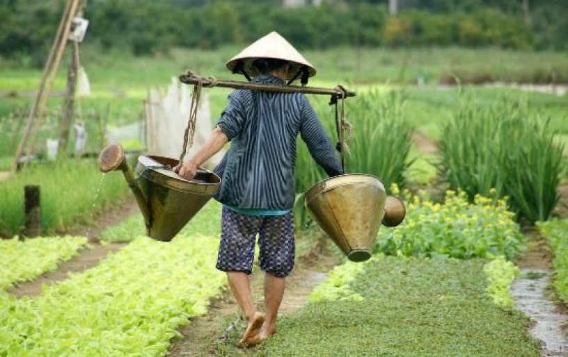 Hoi An Fishing Life & Local Cooking Tour
