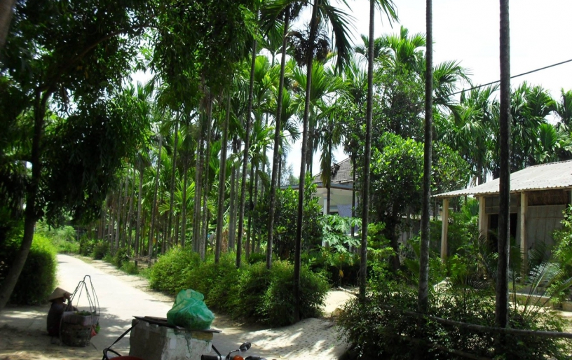Hoi An's Countryside Bike Tour 