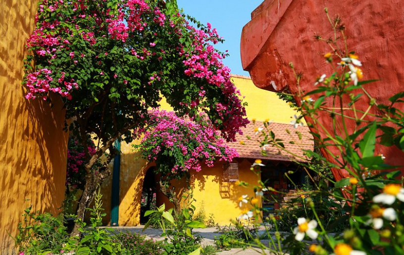 Biking and Boating through the Coconut Jungle