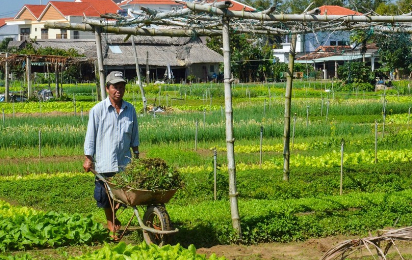 EXPLORING THE FISHING & VEGETABLE VILLAGE IN HOIAN BY BIKE (WITH LUNCH)