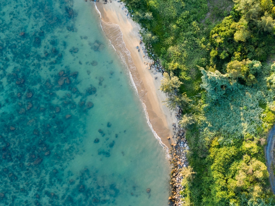 Thư viện hình ảnh