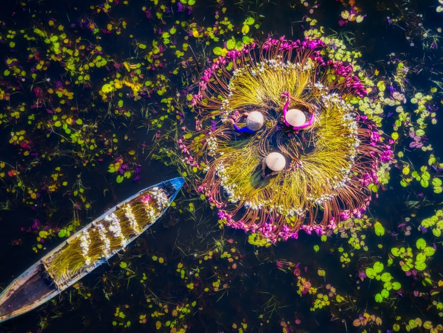 Thư viện hình ảnh