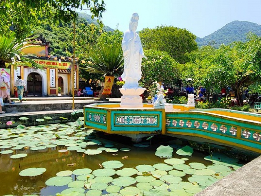 Thư viện hình ảnh