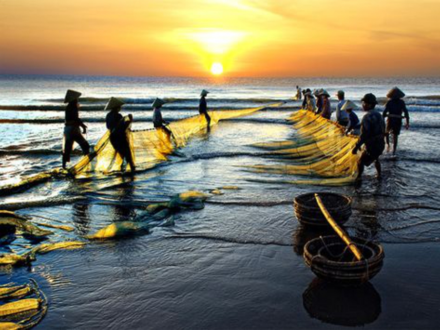 Thư viện hình ảnh